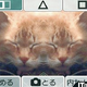 Illustration for article titled More About DSi Camera, DSi Sound